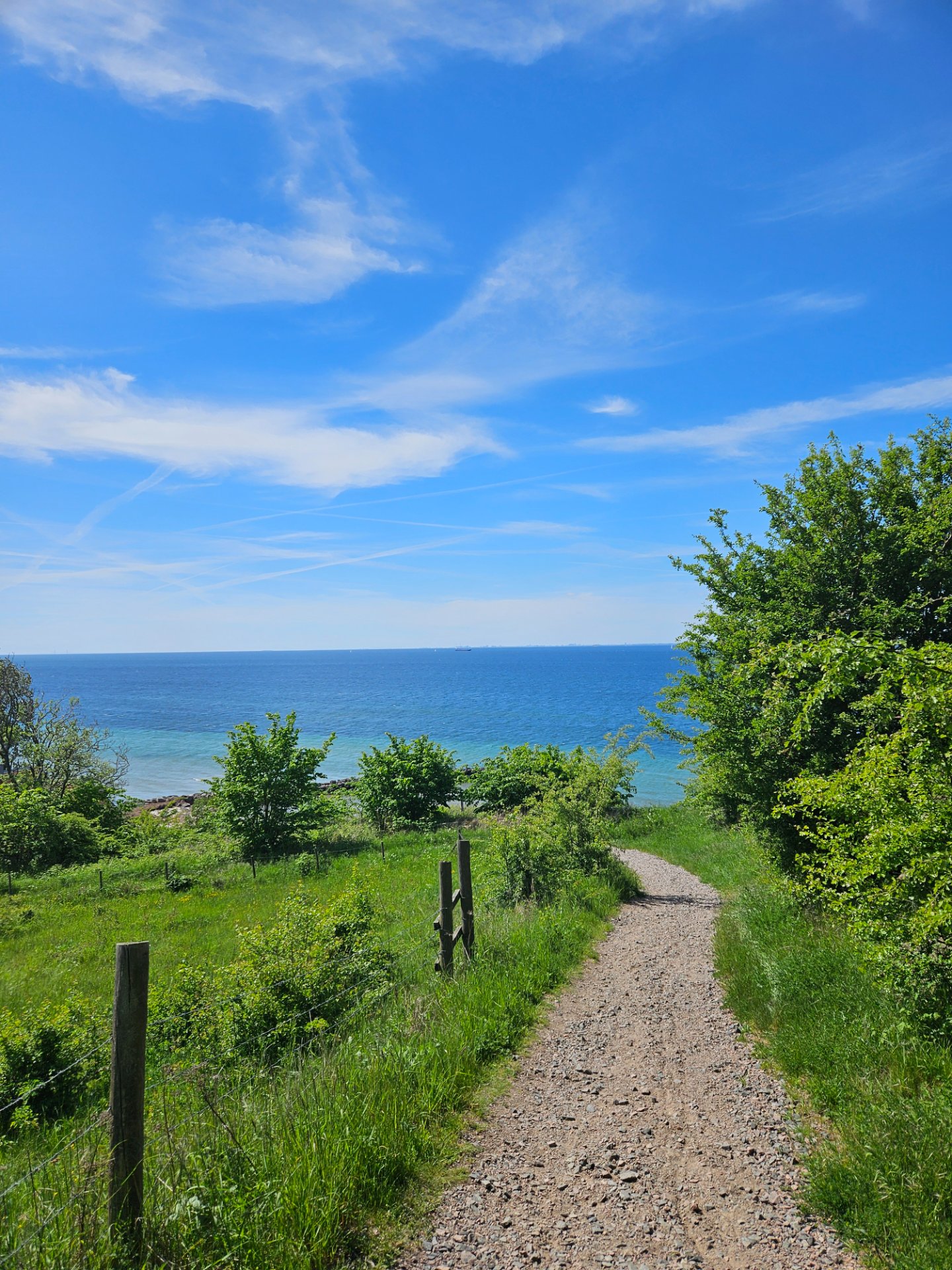A scenic coastal hiking or walking workout along a beautiful trail leading to the shoreline! This peaceful outdoor activity combines low-impact cardio with stunning natural scenery.