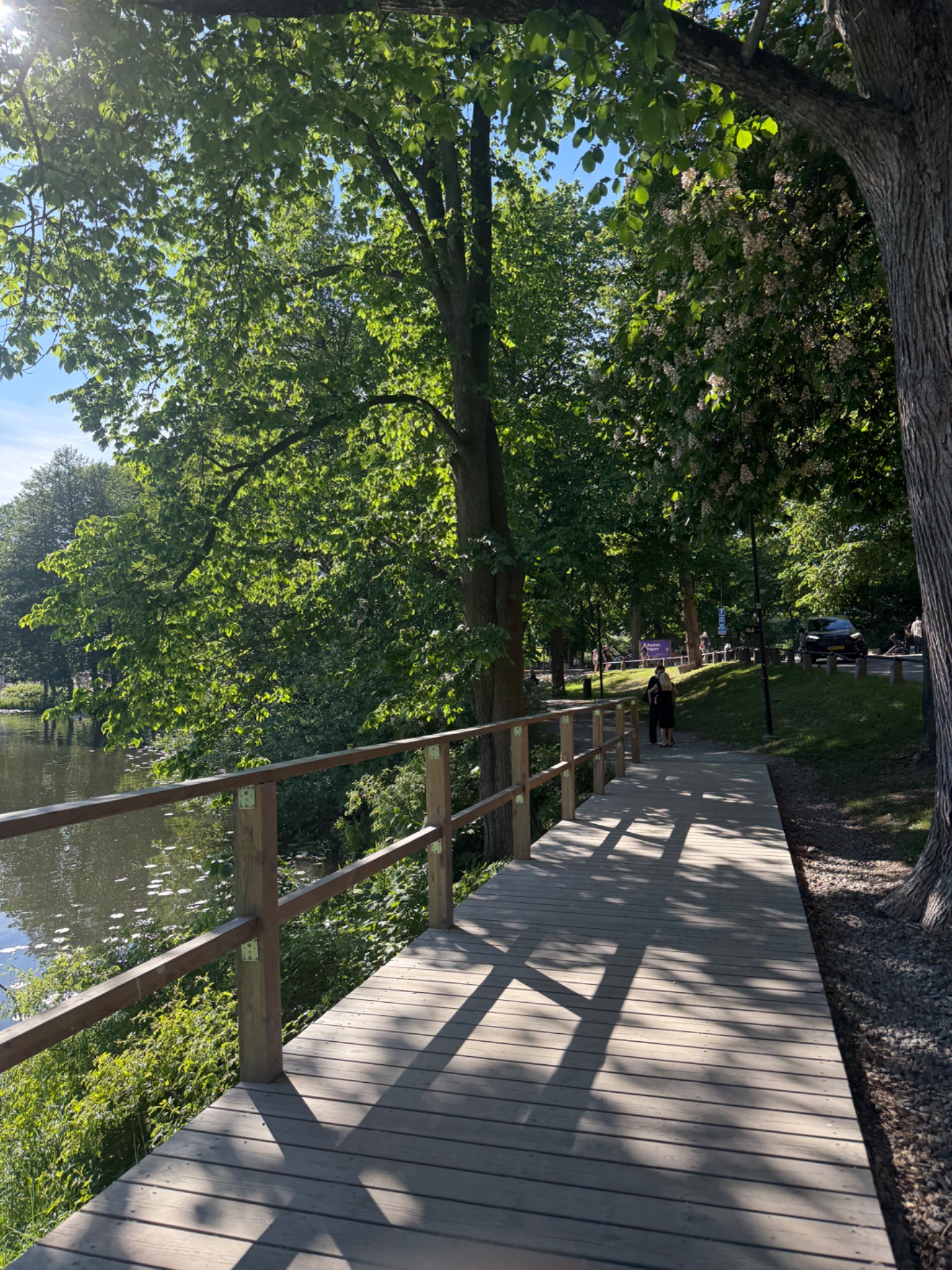 A scenic outdoor walk or hike along a beautiful tree-lined path by the water, perfect for low-impact cardio and enjoying nature!
