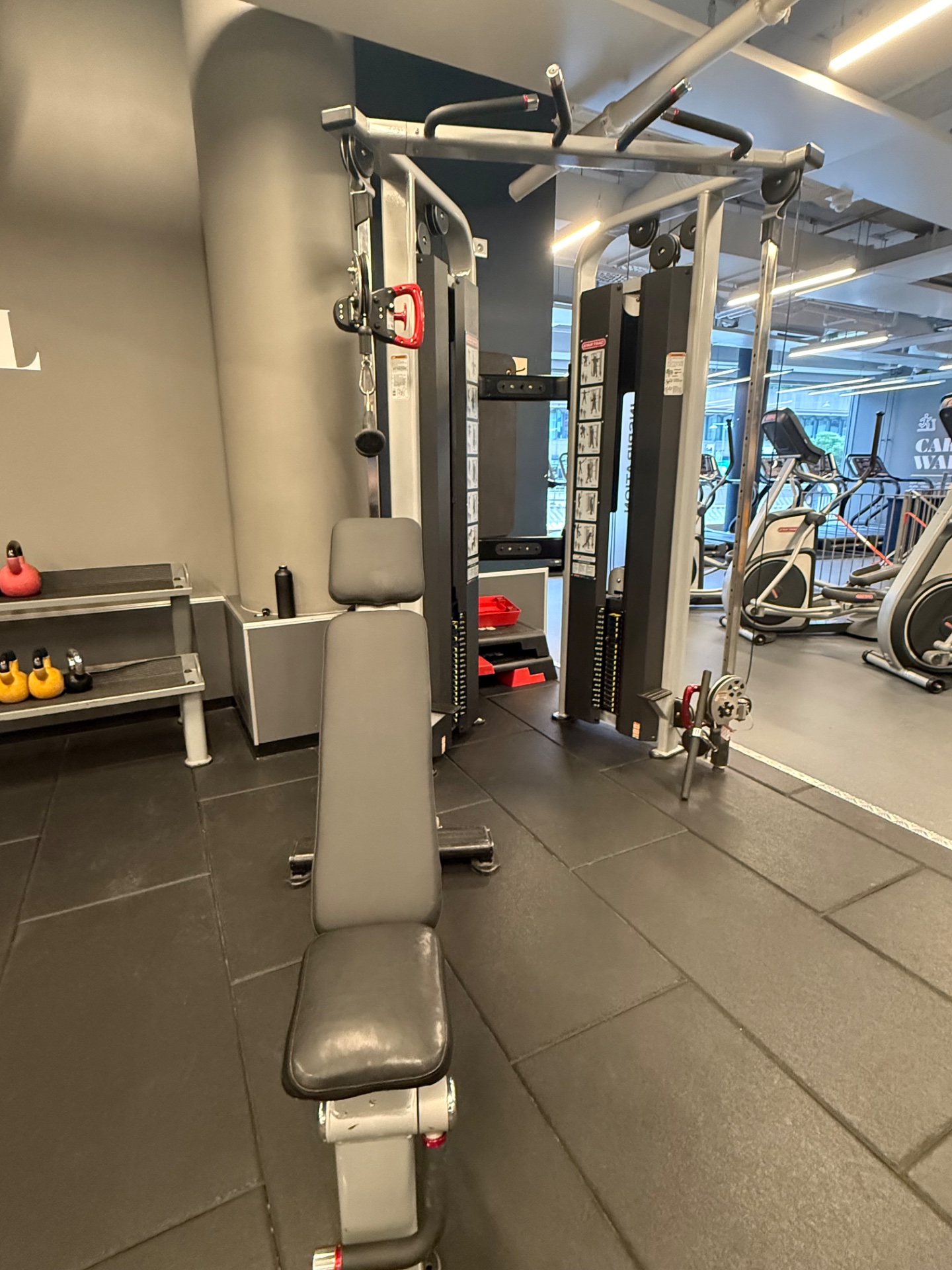 A gym facility photo showcasing professional resistance training equipment, including a multi-functional cable machine and weighted apparatus perfect for targeted strength and muscle-building workouts.