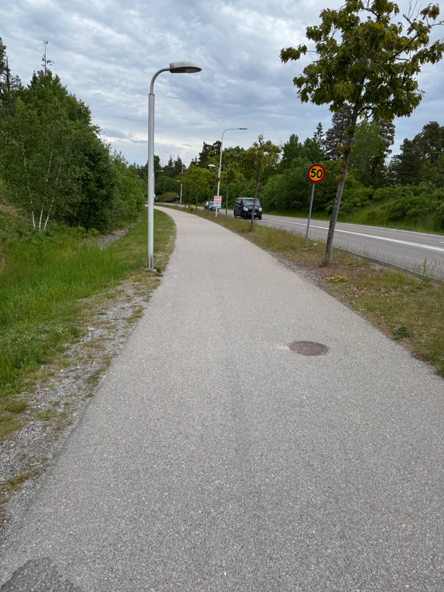 A scenic outdoor cycling or running path along a paved trail with beautiful tree-lined surroundings. Perfect for endurance cardio training in a natural setting!