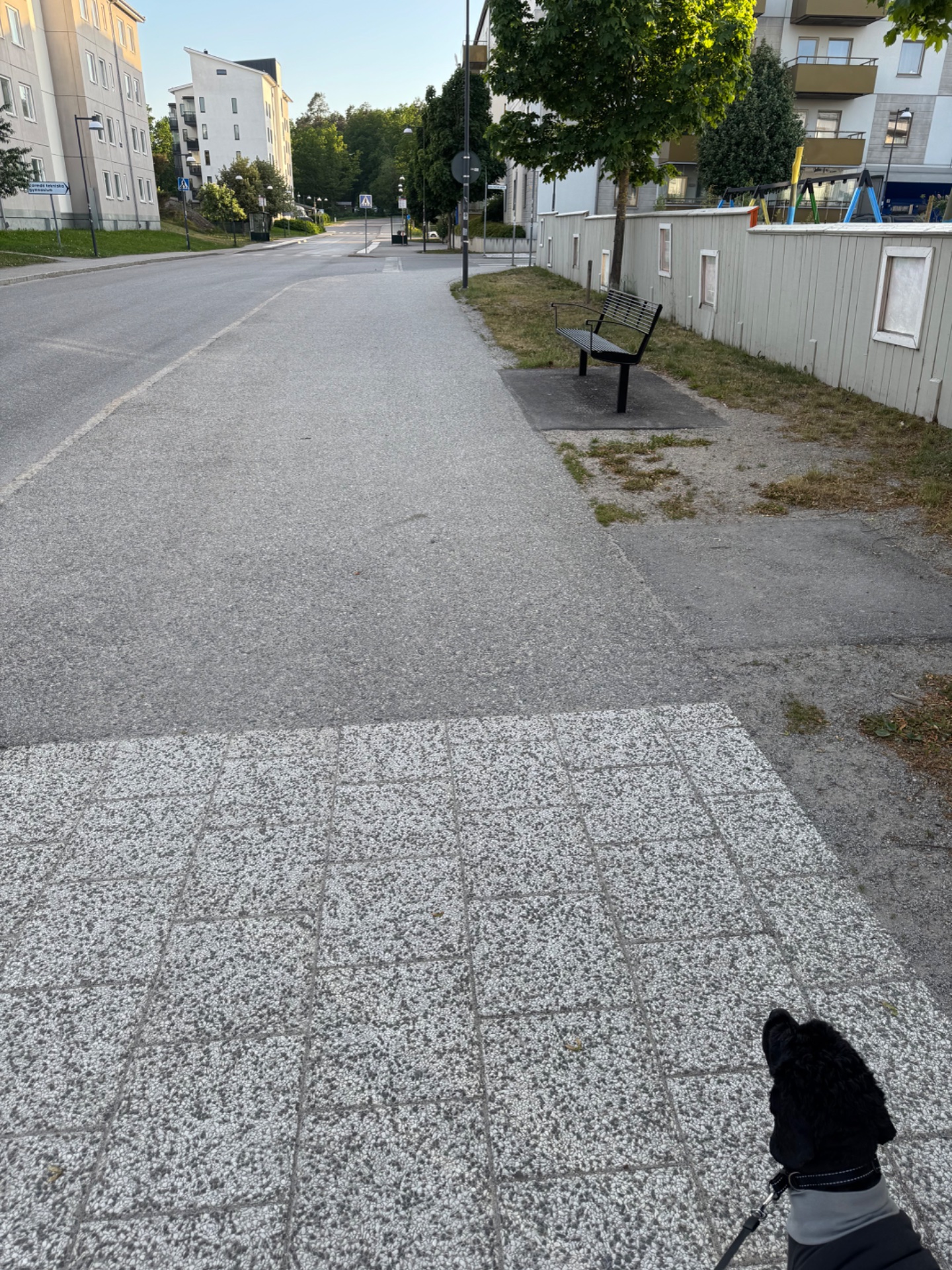 A scenic outdoor walk or run through a residential neighborhood on a beautiful sunny day. The perspective suggests someone is moving along a paved path with green surroundings and urban architecture.