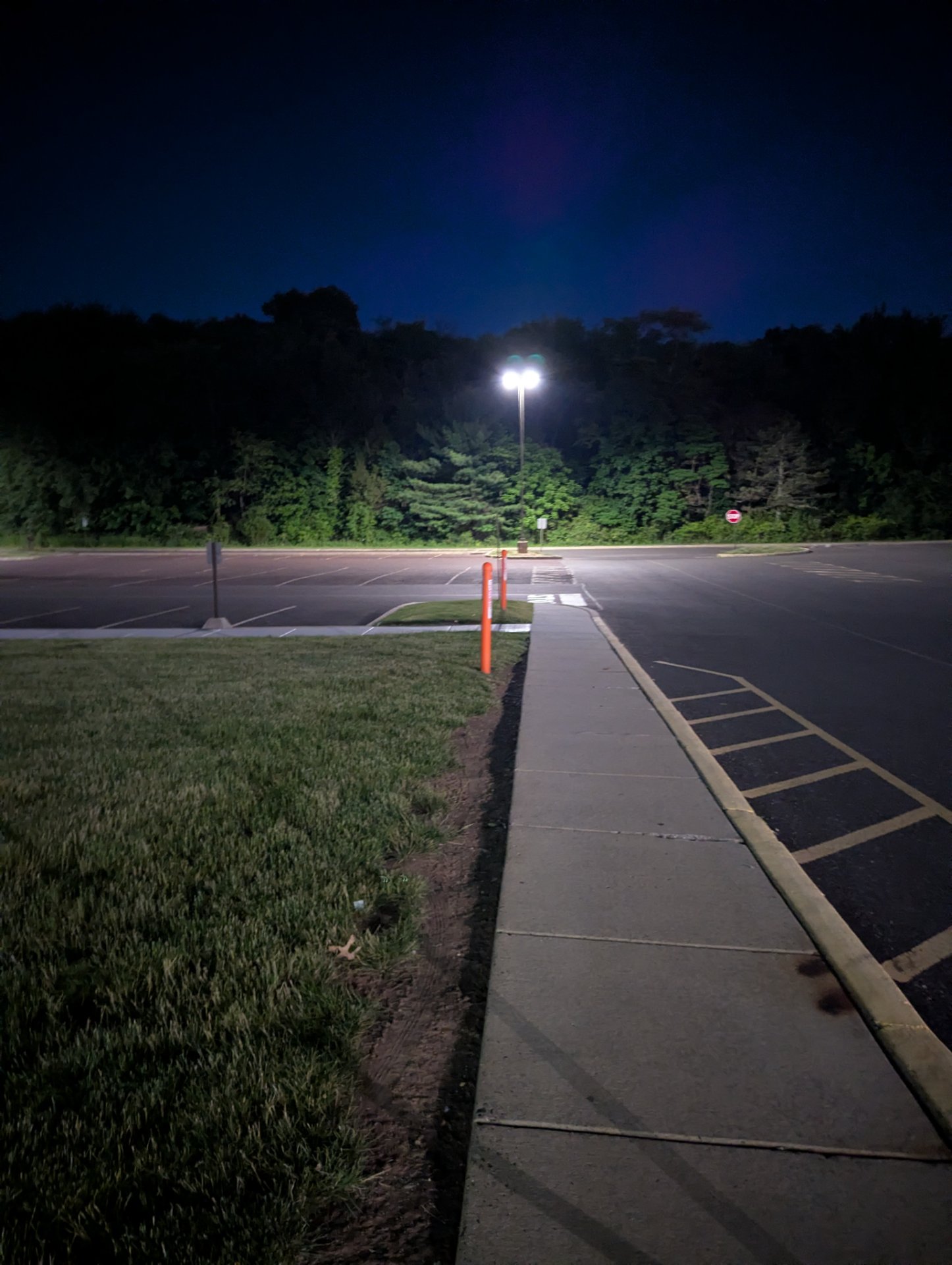 An evening run or walk on a well-lit path alongside an empty parking lot, with a scenic backdrop of trees under the night sky. Perfect for a twilight cardio session!