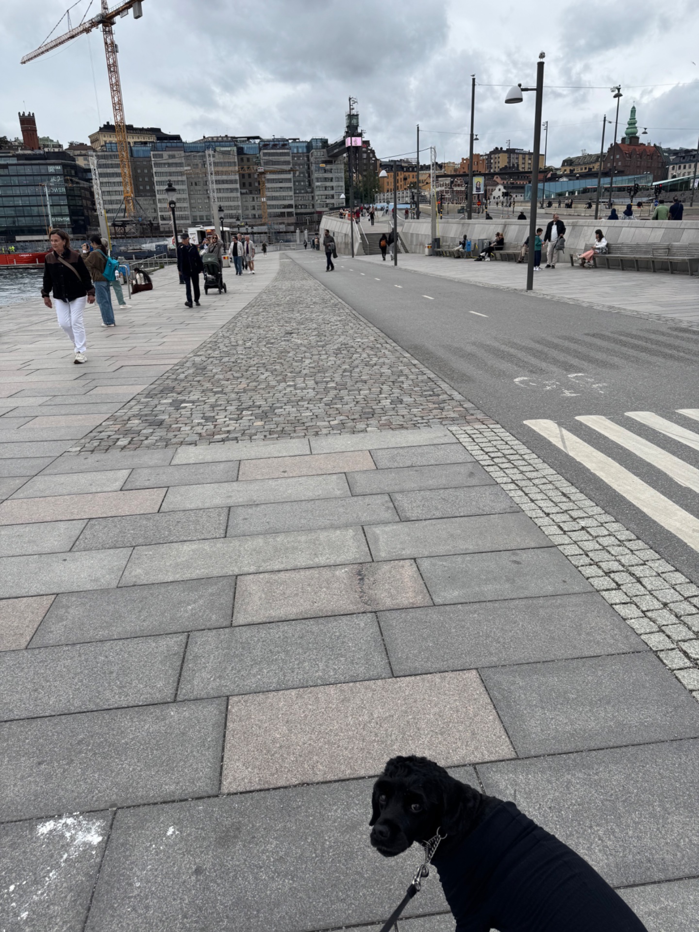 A casual walk through an urban waterfront area with a dog companion. This outdoor stroll captures a relaxing cardio session in a scenic city environment.