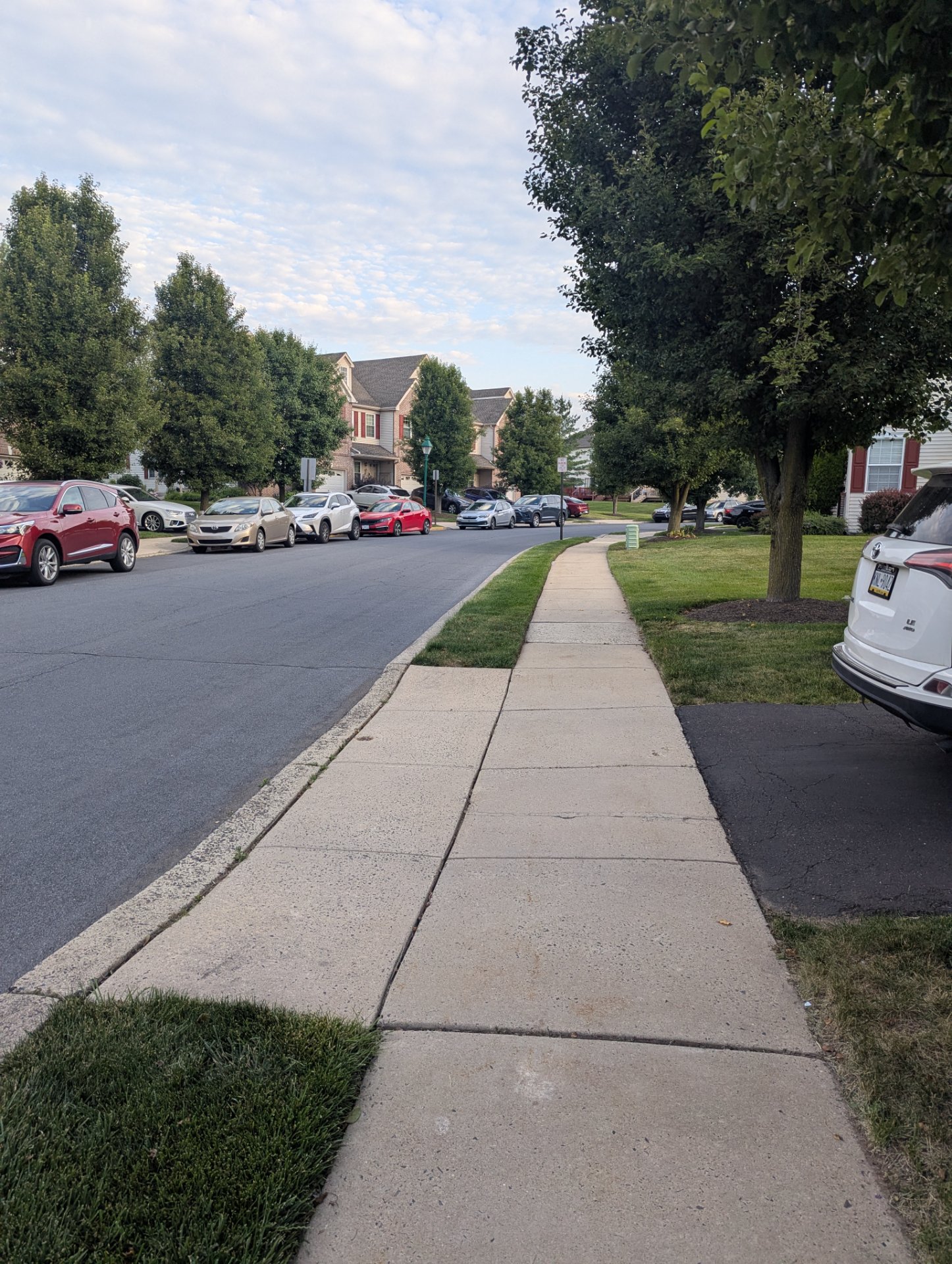 A scenic neighborhood walk or run along a tree-lined residential street with sidewalks and green space—perfect for outdoor cardio exercise!