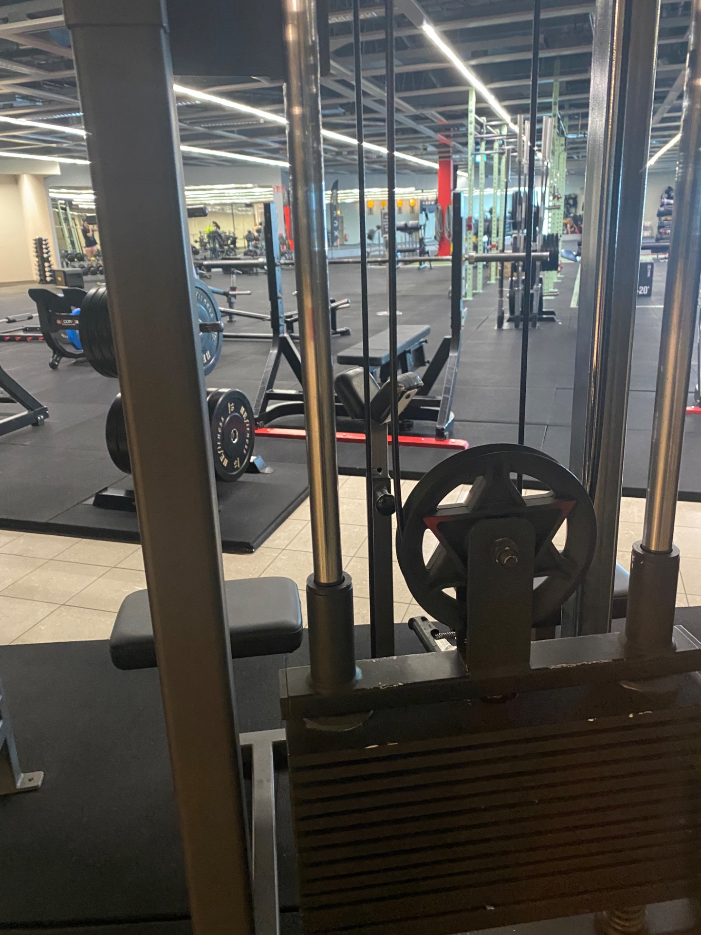 A gym session featuring a squat rack loaded with weight plates, ready for heavy lifting! This is a classic strength training setup in a well-equipped CrossFit or powerlifting facility.