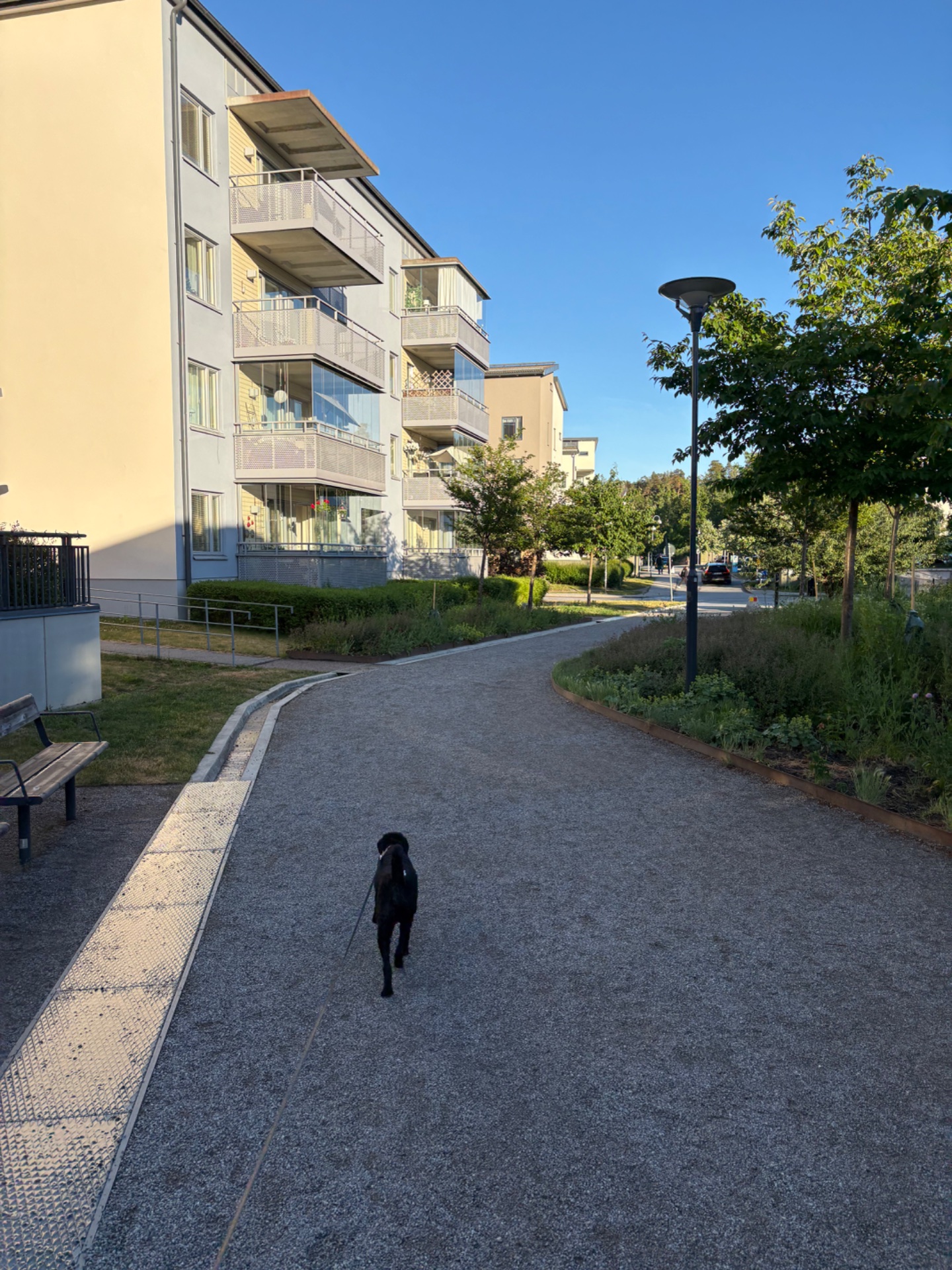 A refreshing outdoor walk or run through a residential neighborhood pathway on a beautiful sunny day. The figure is moving along a paved trail with green surroundings, perfect for low-impact cardio exercise.