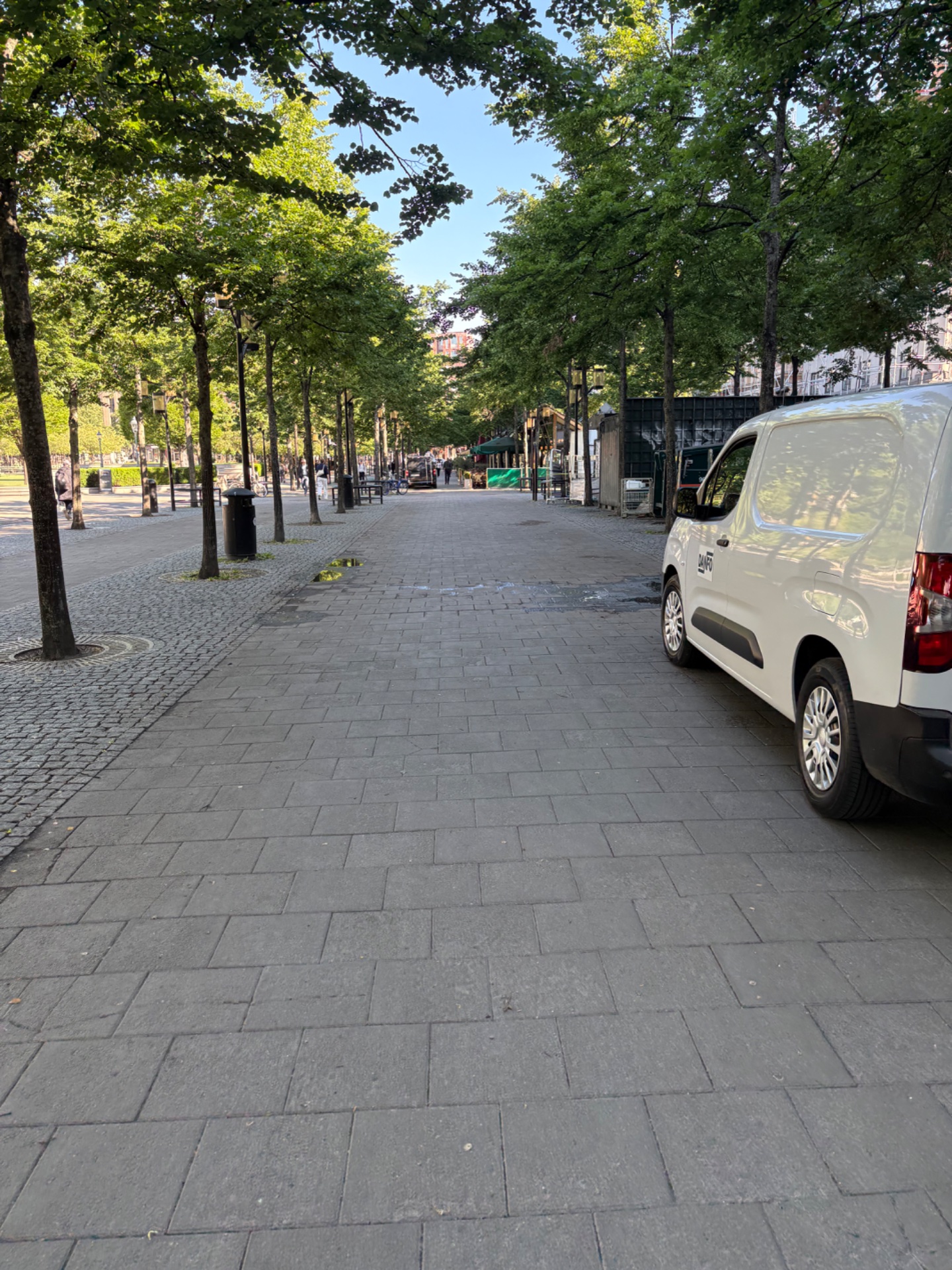 This image shows an urban street scene with trees and a parked vehicle—no clear evidence of exercise activity.