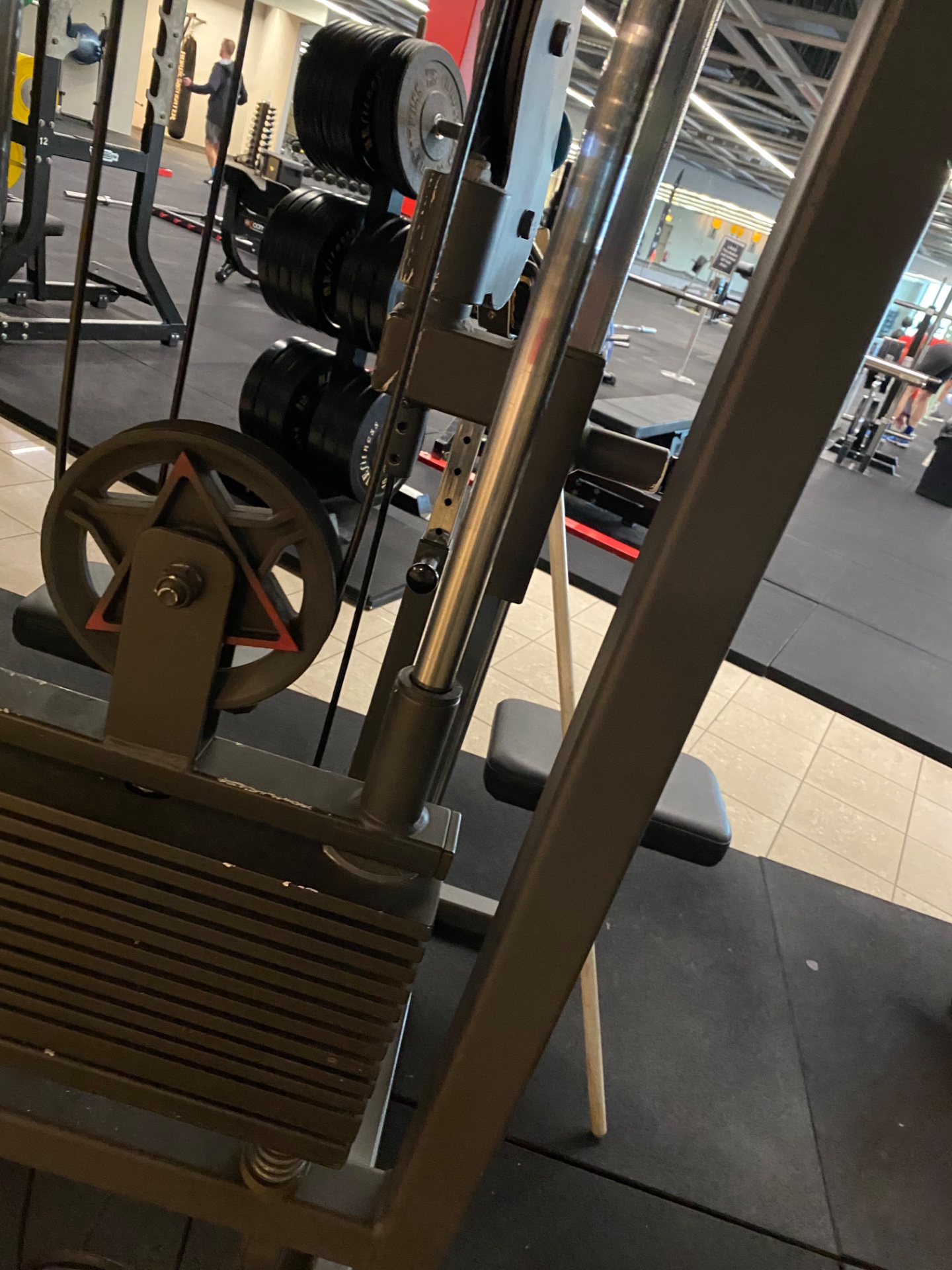 A gym setup featuring a loaded barbell rack with weight plates ready for lifting. This is classic strength training equipment perfect for compound movements and resistance exercises!