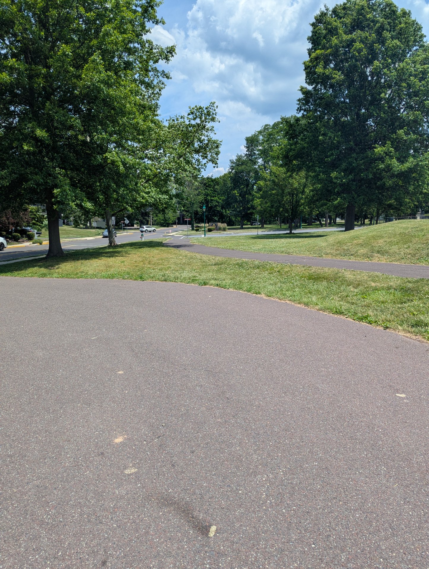 A scenic outdoor run or walk on a paved path through a beautiful park with mature trees and open green spaces. Perfect conditions for a steady cardio session in nature!
