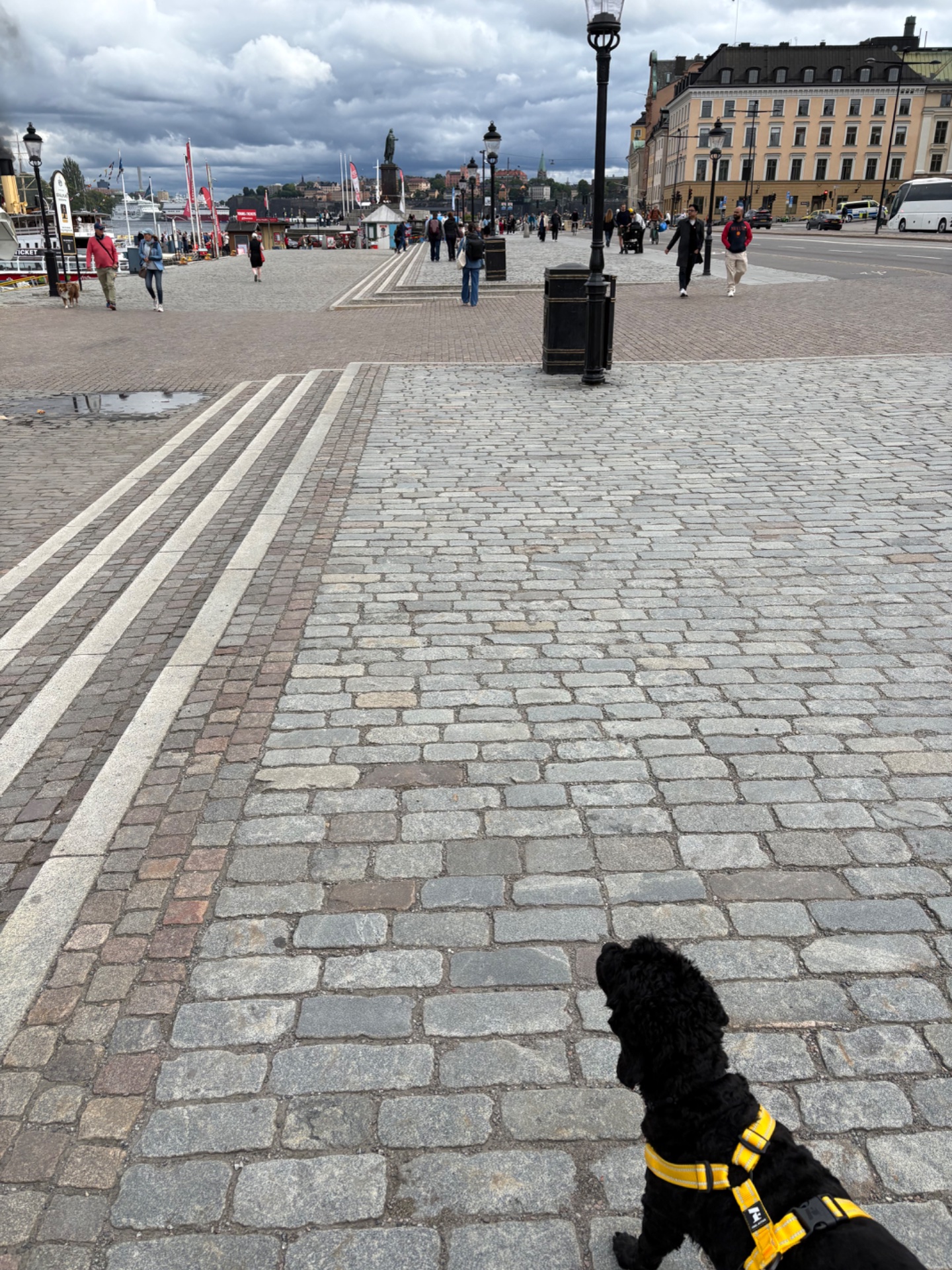 A scenic walk or hike through a beautiful European city square with a dog in tow! This outdoor stroll combines leisurely movement with sightseeing in what appears to be a historic waterfront plaza.