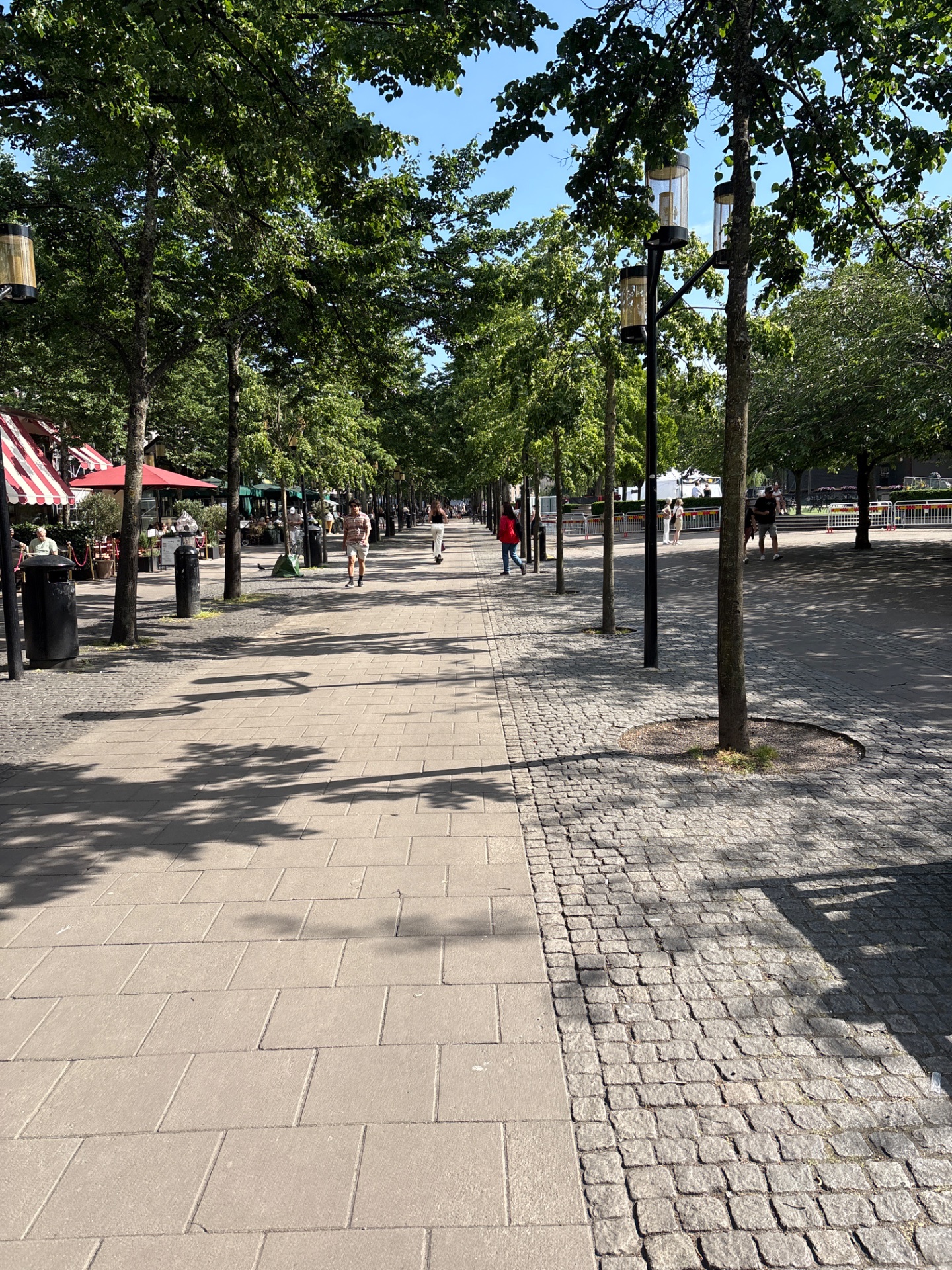 A scenic walk or leisurely stroll through a tree-lined urban plaza on a beautiful sunny day. Perfect for light cardio and enjoying the outdoors!