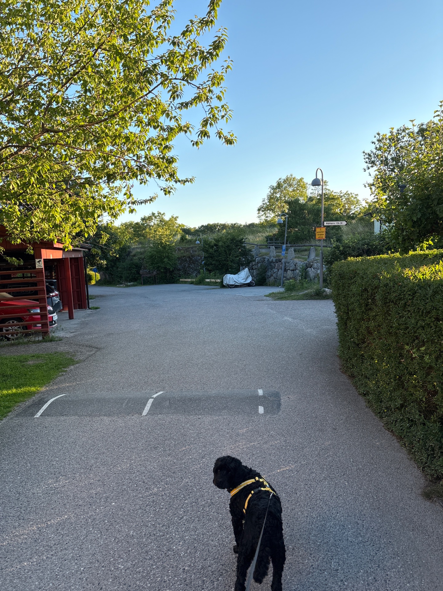 Outdoor walking or hiking session on a scenic path with beautiful natural surroundings. A great cardio workout enjoyed in the fresh air with trees and greenery!