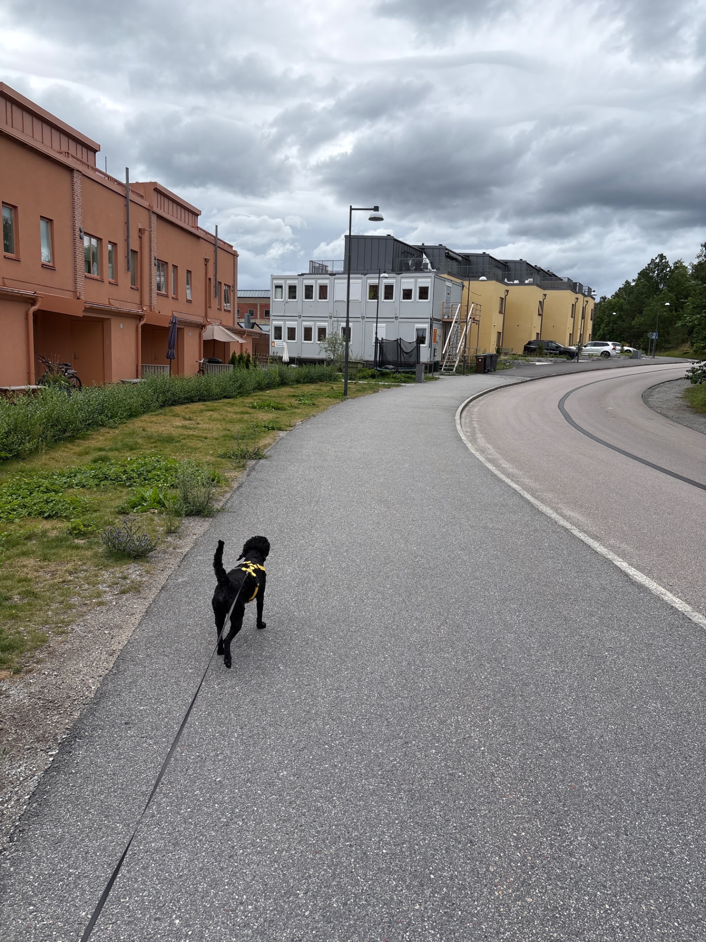 A dog walk or light jog through an urban area on a paved path. Great low-impact cardio activity with a furry companion on a cloudy day!