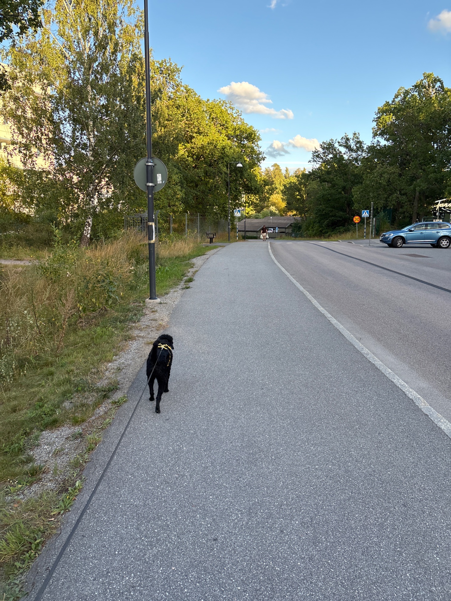 A great outdoor walk or run with a dog along a paved path on a beautiful sunny day! Perfect cardio session combining exercise with some quality time with a furry friend.