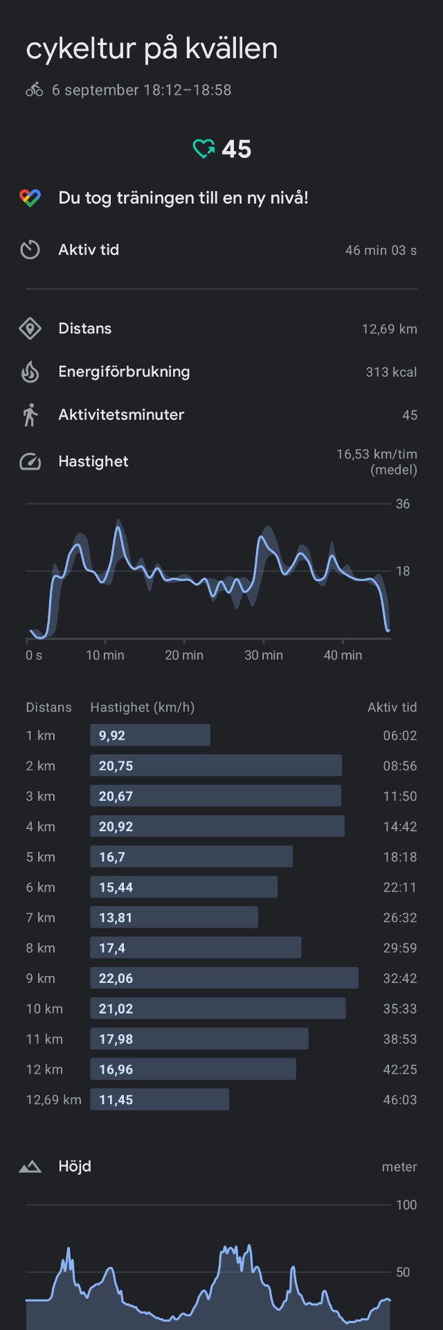An impressive 46-minute cycling session covering 12.69 km with an average speed of 16.53 km/h and 313 kcal burned. The workout included varied terrain with elevation changes, showing consistent effort throughout the ride.