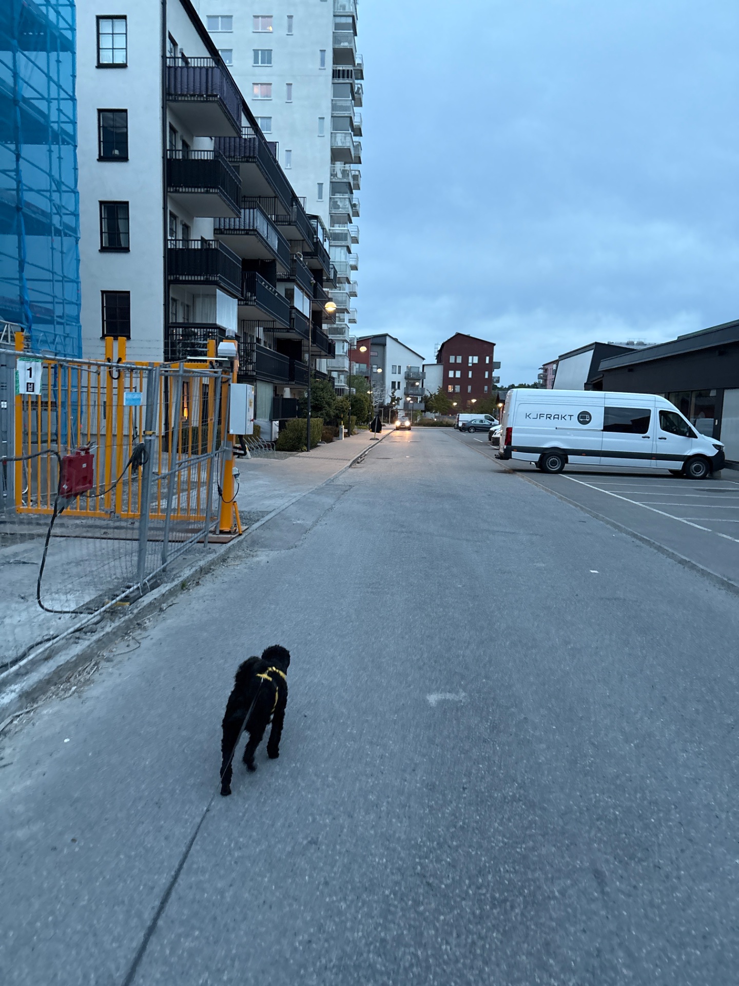 A dog owner taking their pup for a run or walk through an urban street. This is a great outdoor cardio session combining exercise with pet care!