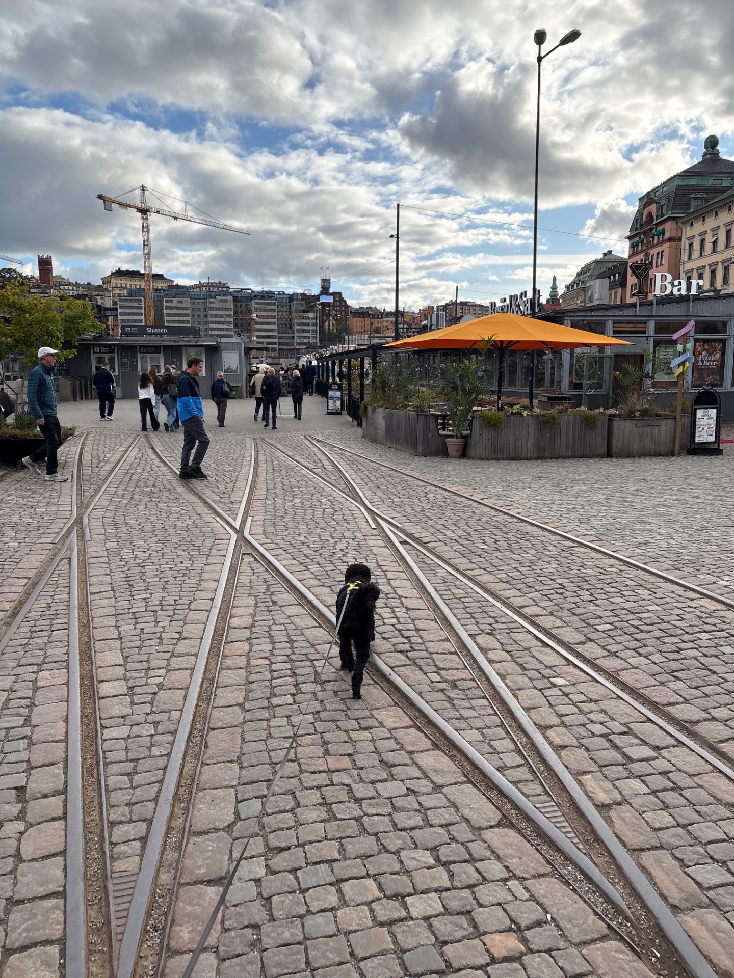 A great outdoor walking or jogging session through an urban plaza in what appears to be a Scandinavian city! Multiple people are actively moving through the public square, getting their steps in while enjoying fresh air and city scenery.