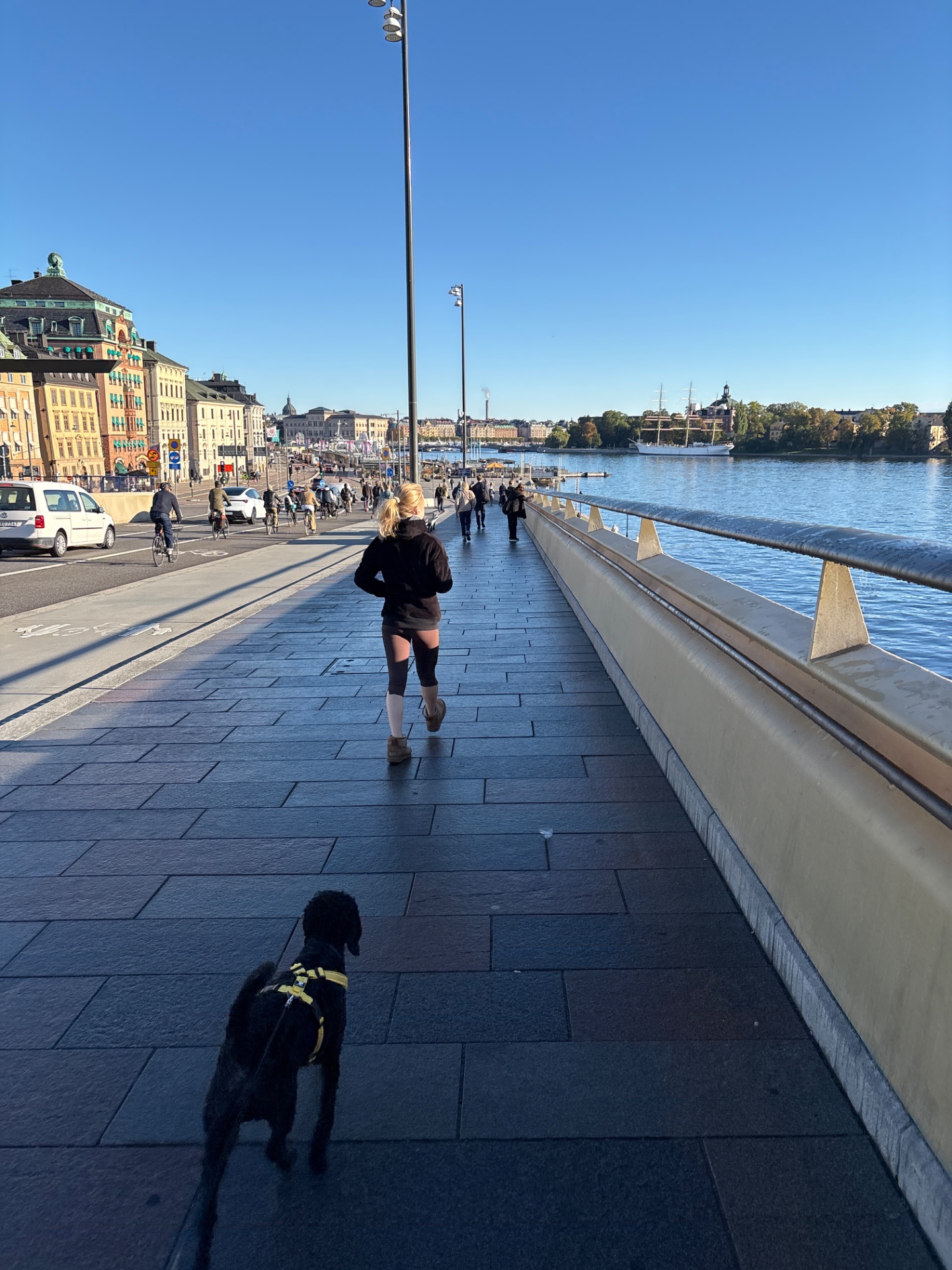 A scenic outdoor run along a beautiful waterfront promenade with a dog companion! This looks like a fantastic run through what appears to be Stockholm, with stunning water views and urban architecture providing an inspiring backdrop.