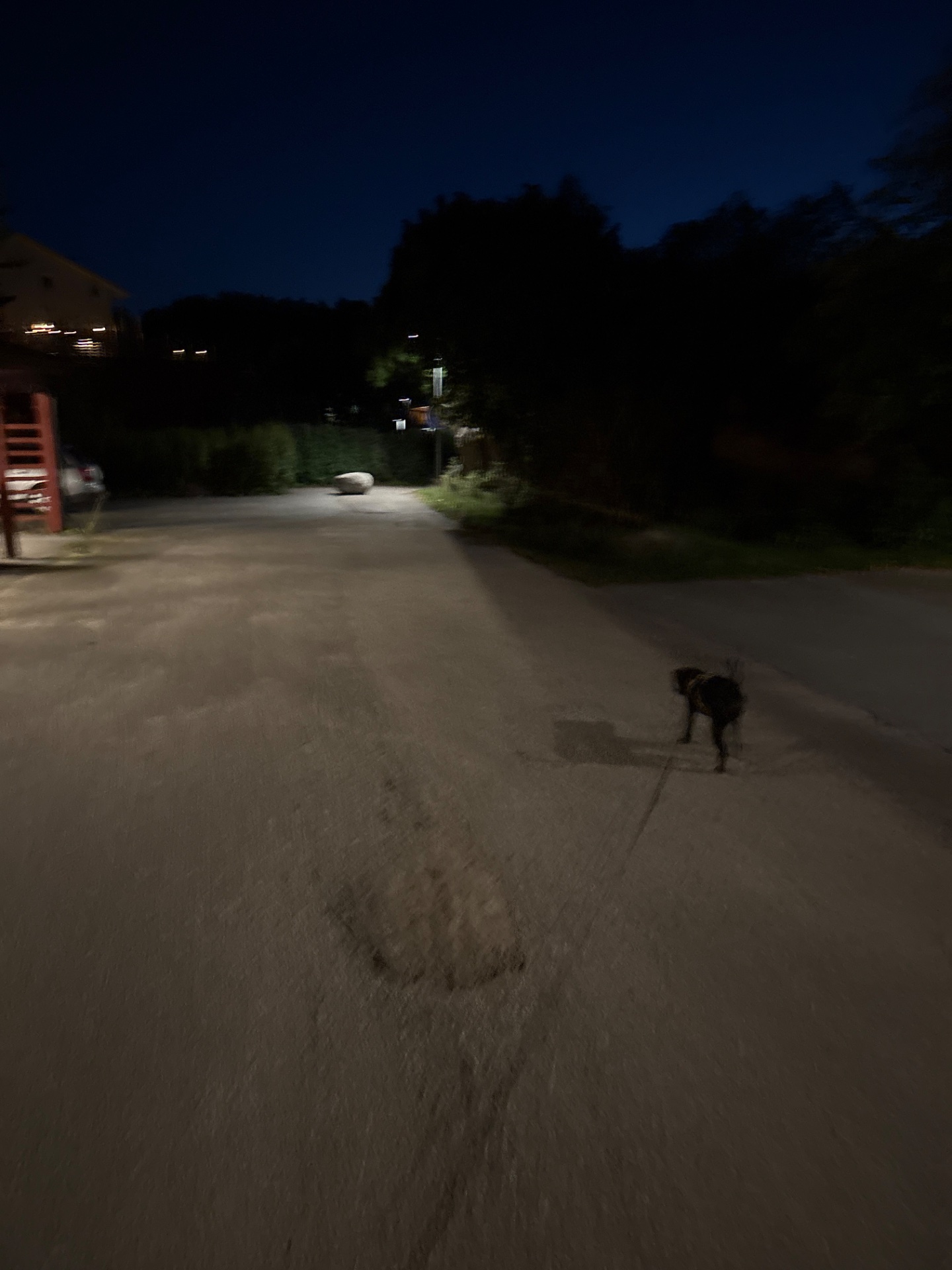 Evening outdoor run or walk captured at dusk with natural lighting. The photo shows movement across an open outdoor space, likely a running or walking workout session.