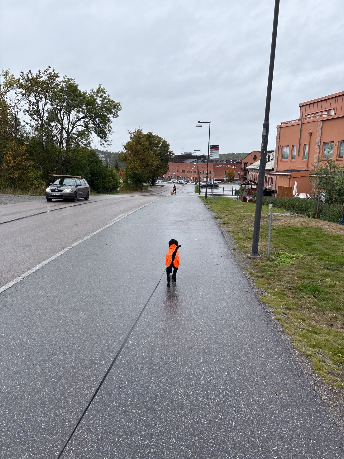 A runner in a bright orange jacket powering through a wet urban street, braving rainy weather for an outdoor run. Great commitment to getting those miles in despite the conditions!