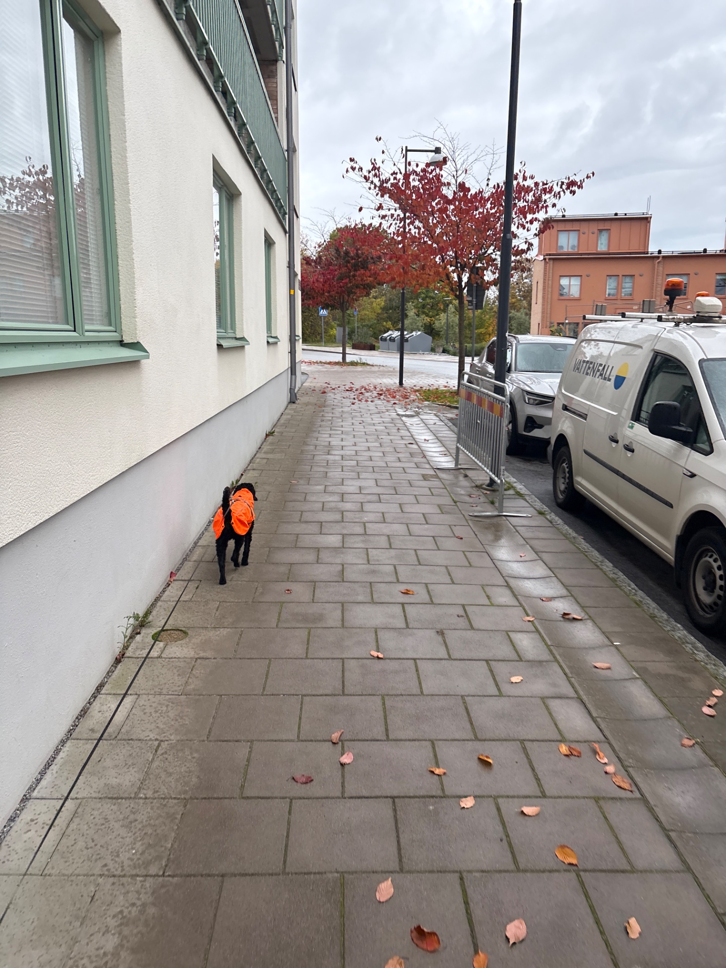 A person in a bright orange jacket taking a walk or light jog through an urban street lined with autumn foliage. Perfect for getting some fresh air and moving the body outdoors!